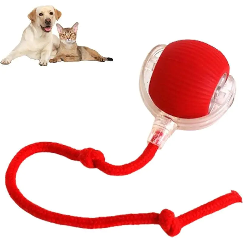 Smart 360° Automatic Rolling Ball for Pets