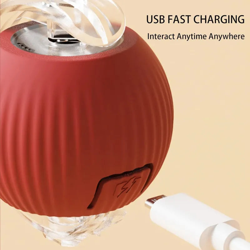 Smart 360° Automatic Rolling Ball for Pets