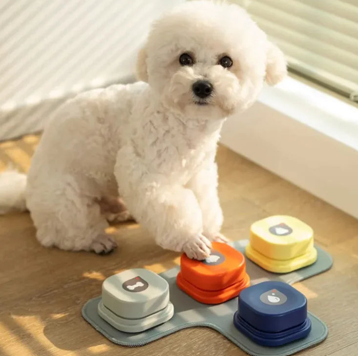 Interactive Pet Toy