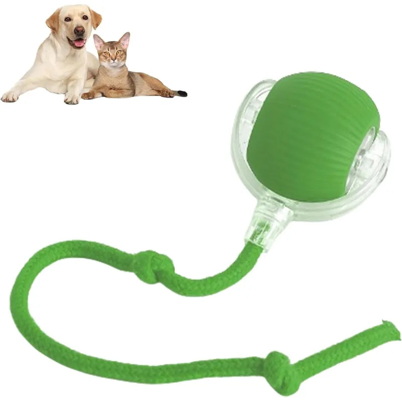 Smart 360° Automatic Rolling Ball for Pets