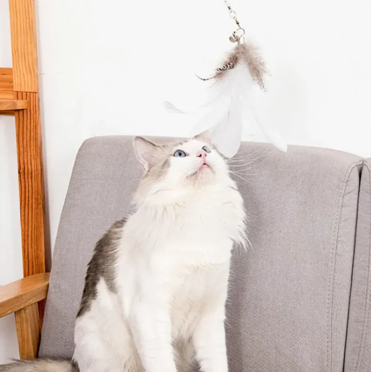 Cat Rod Toy with Strong Suction Cup